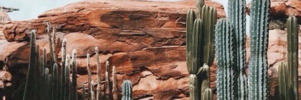 halchampion Profile Banner