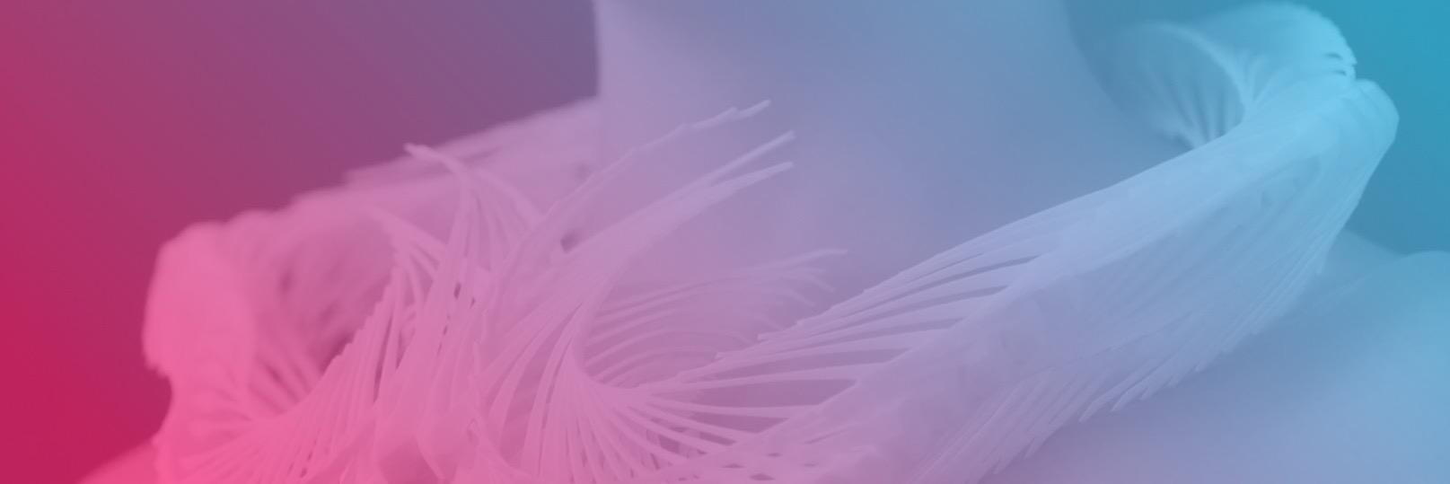 MakeSchools's profile banner image