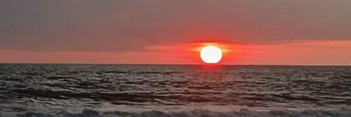 waldor1996's profile banner image