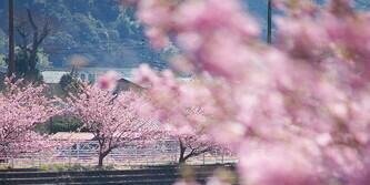 Ao0123459's profile banner image