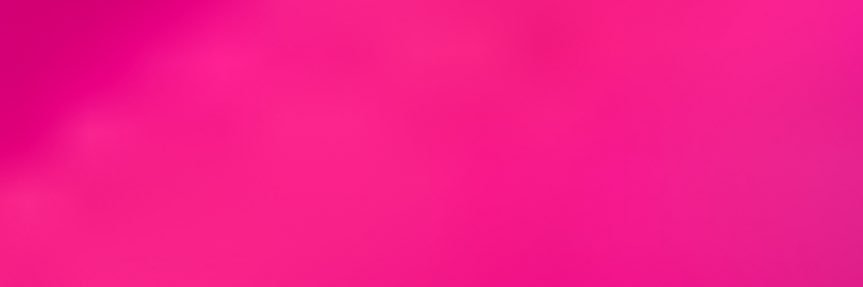 nancy pelosi’s only fans banner