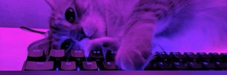 NVannostran's profile banner image