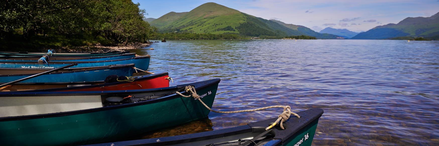 ArdmayHouse's profile banner image