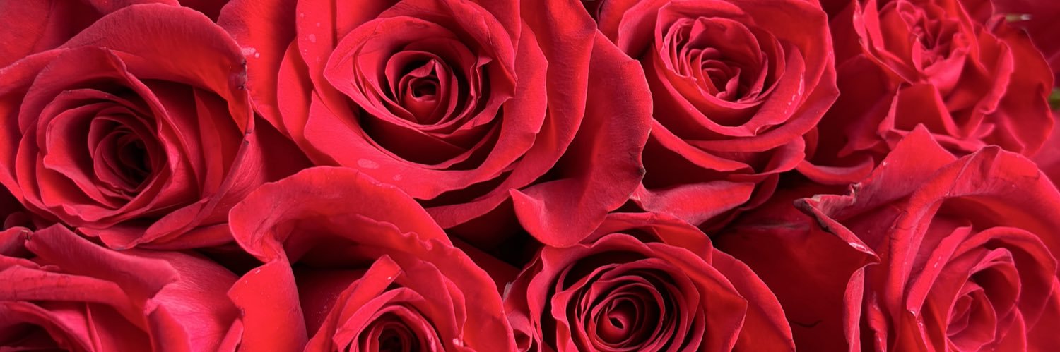 girlgotsole's profile banner image
