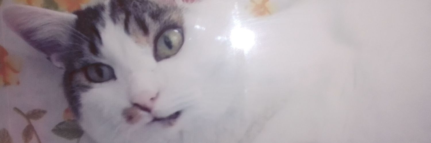 lorysissy's profile banner image