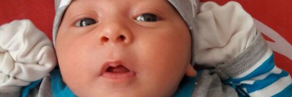 Sergul Gemicioglu banner