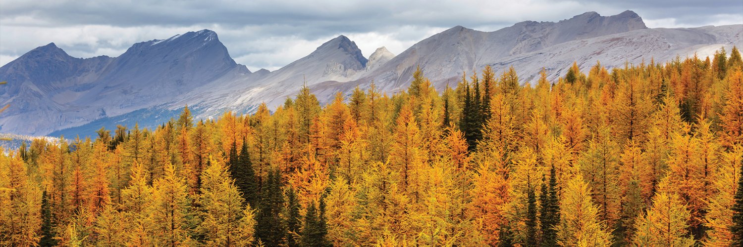 Canada Côte d'Ivoire banner