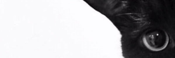 ELSARAB0 Profile Banner