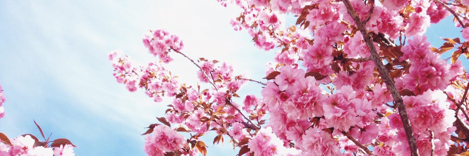 daniferrron's profile banner image