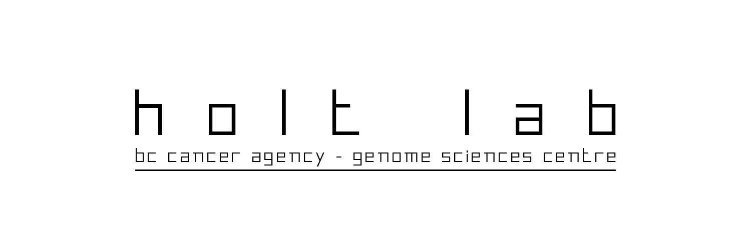 holt_lab's profile banner image