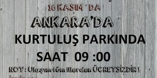 657oktay36's profile banner image