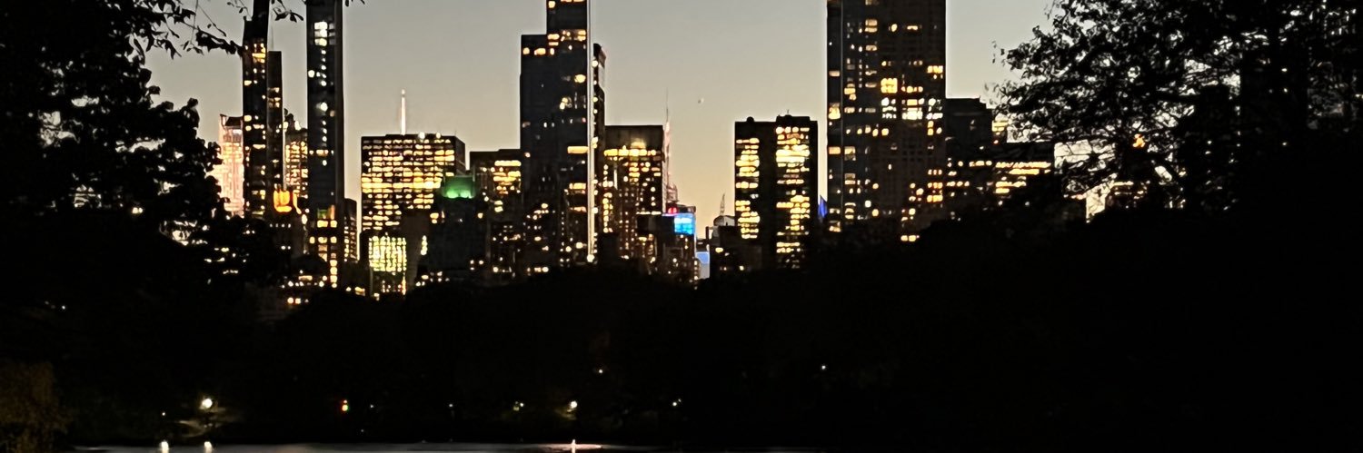 rockynardone's profile banner image