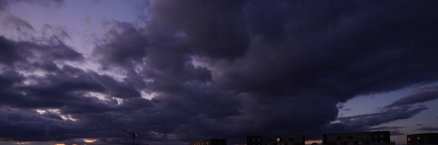 Damir Marusic banner