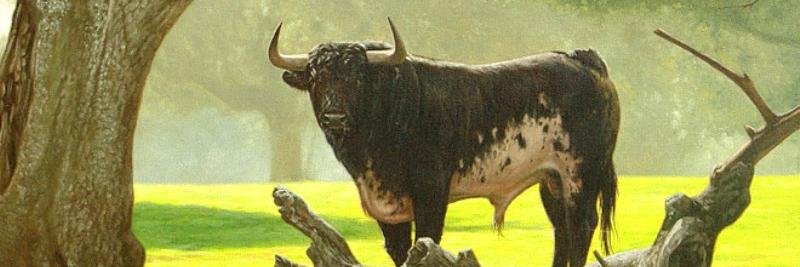 AMIGOS TORO DE LIDIA banner