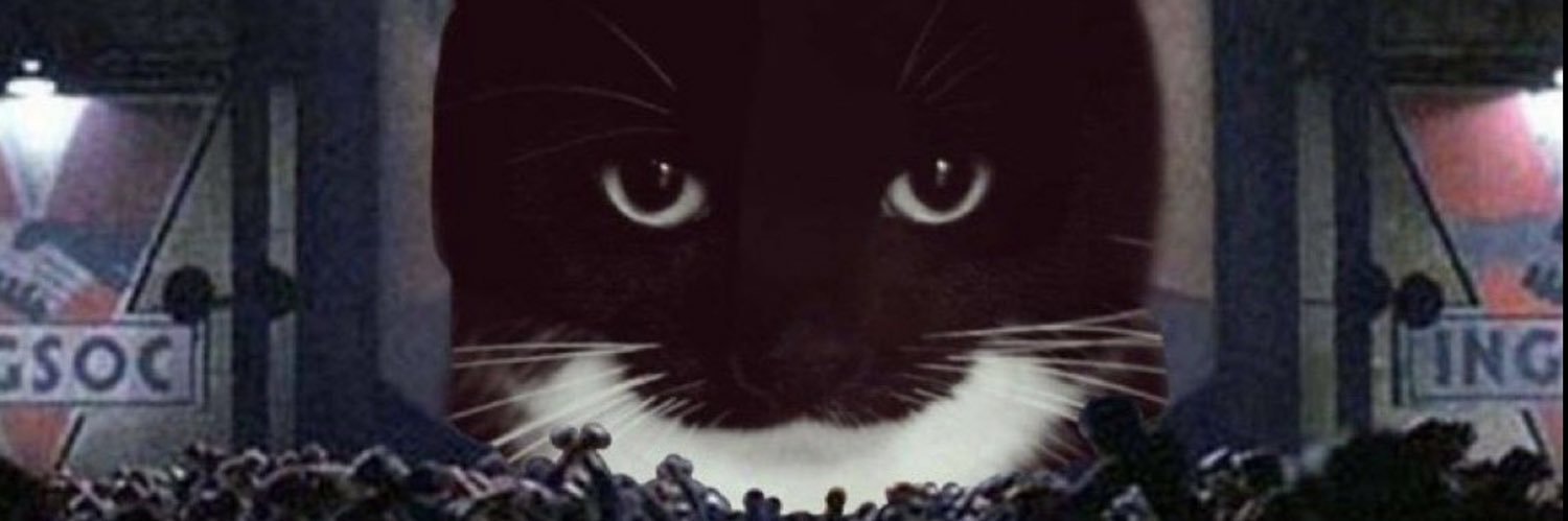 __aaronjimenez's profile banner image
