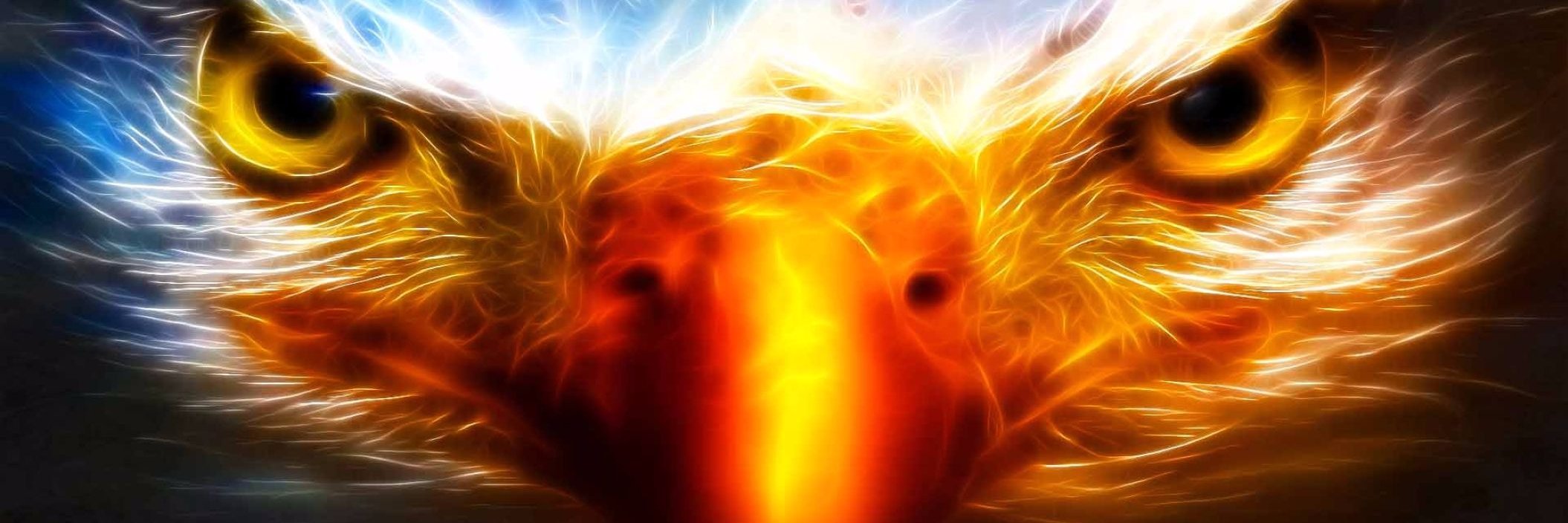 eaglemike42's profile banner image