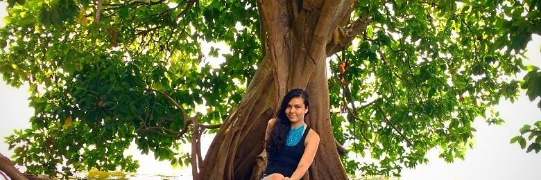 _Thamibarros's profile banner image