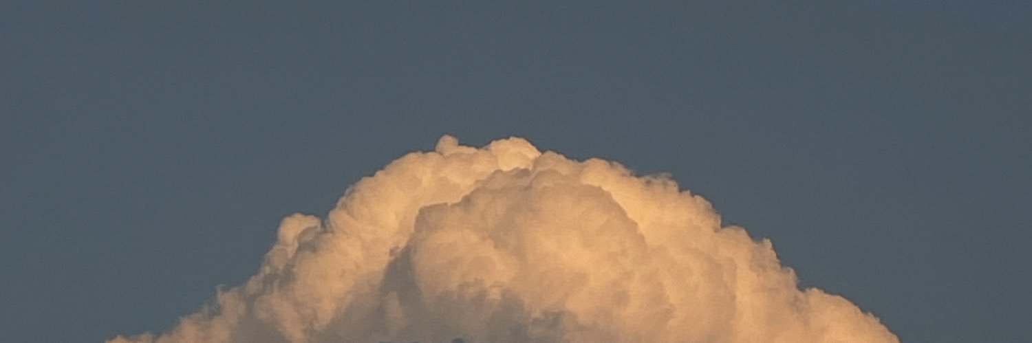 selmgapakea's profile banner image