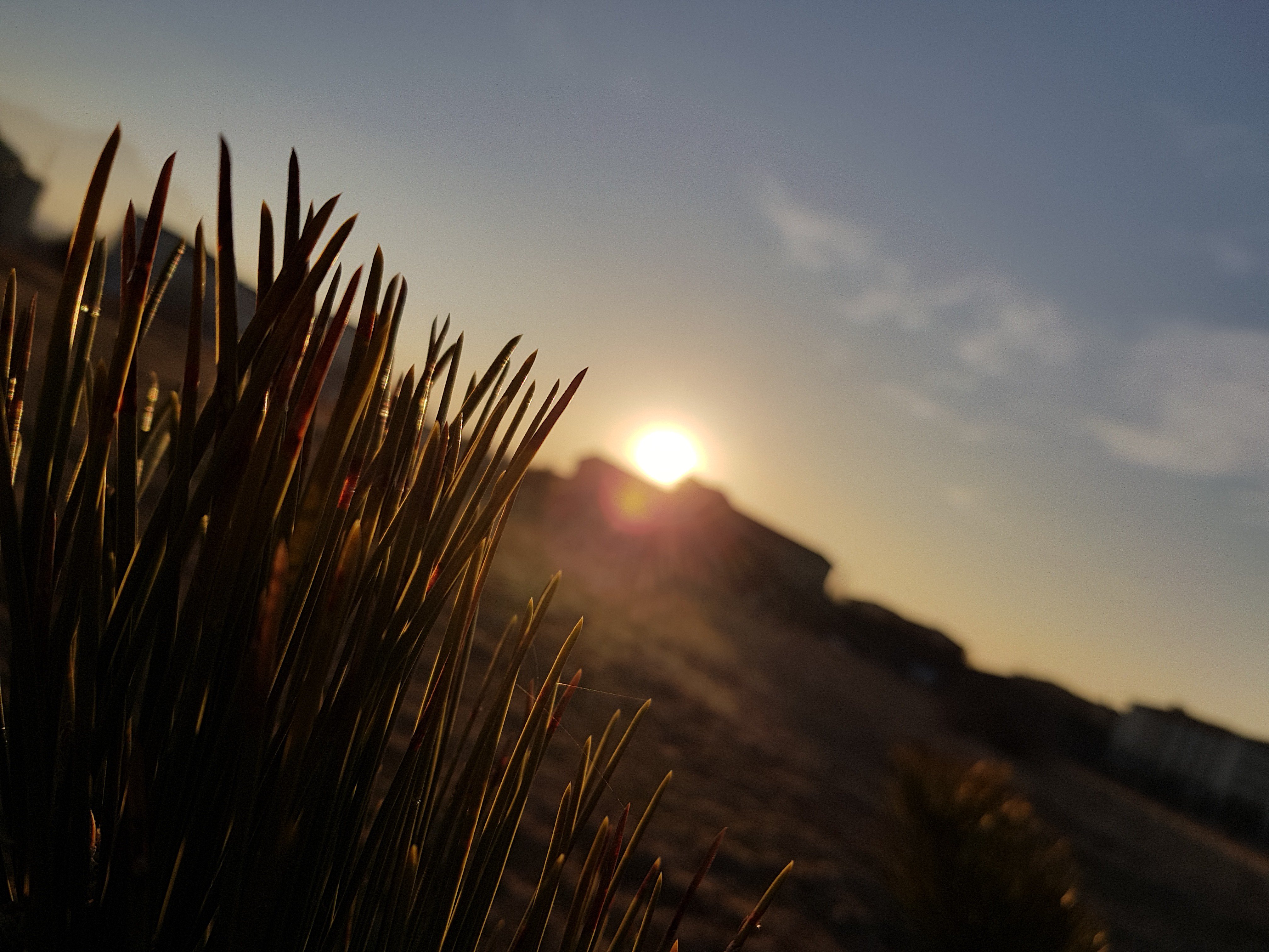 Bersah's profile banner image