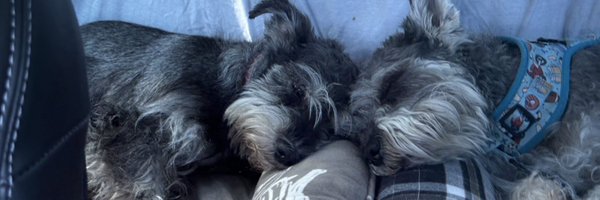 That_Guy_Trei Profile Banner