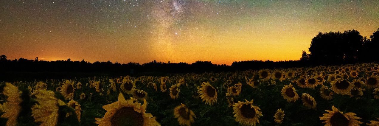 britt_wansley's profile banner image
