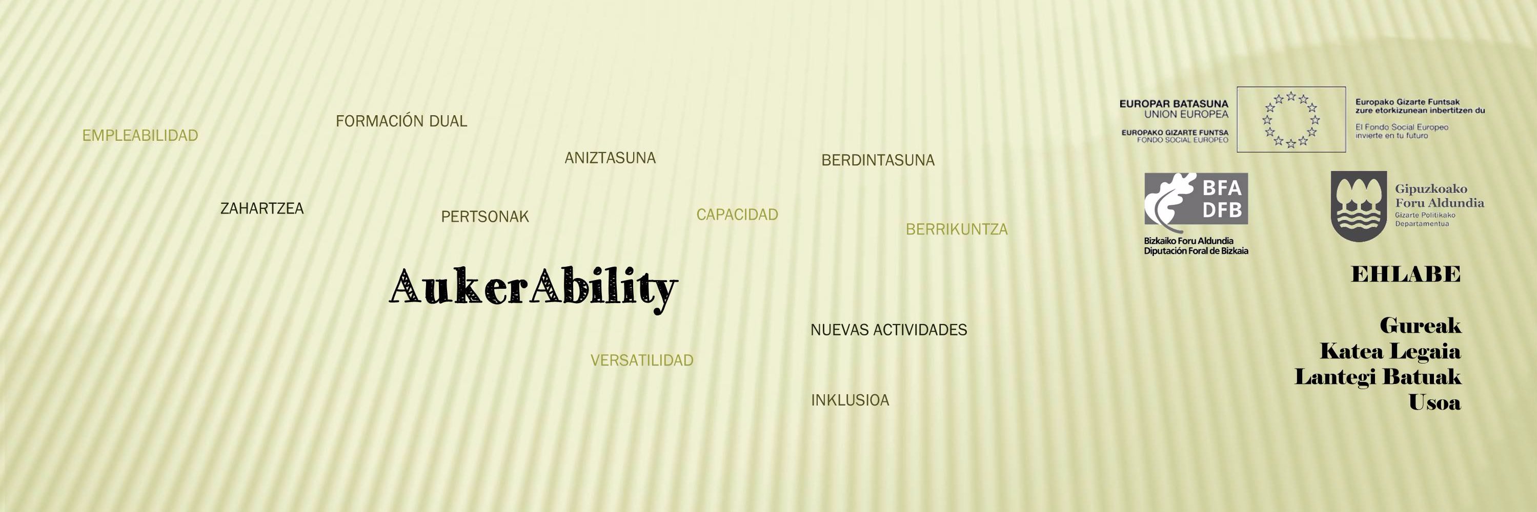 AukerAbility's profile banner image