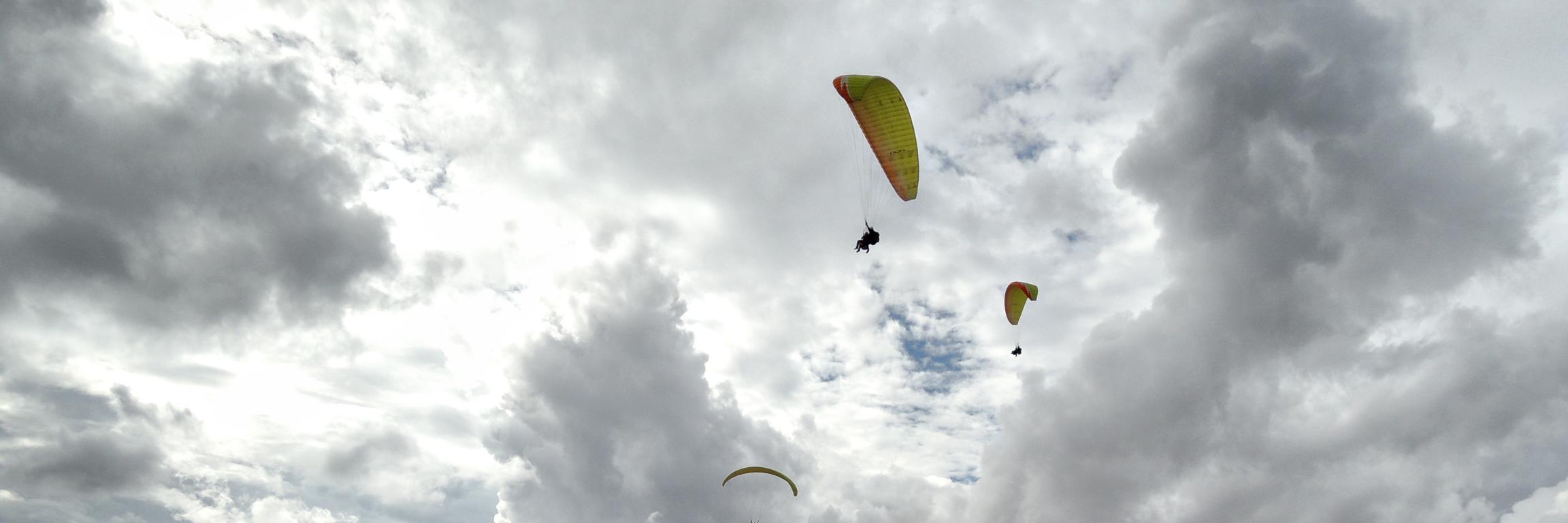 Jacob Vicente López banner