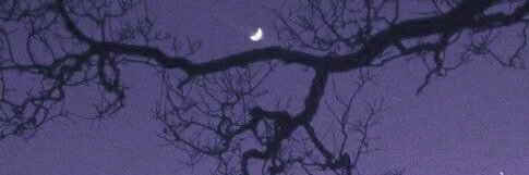 dxmondays's profile banner image