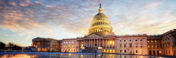 ColleretteLouis Profile Banner