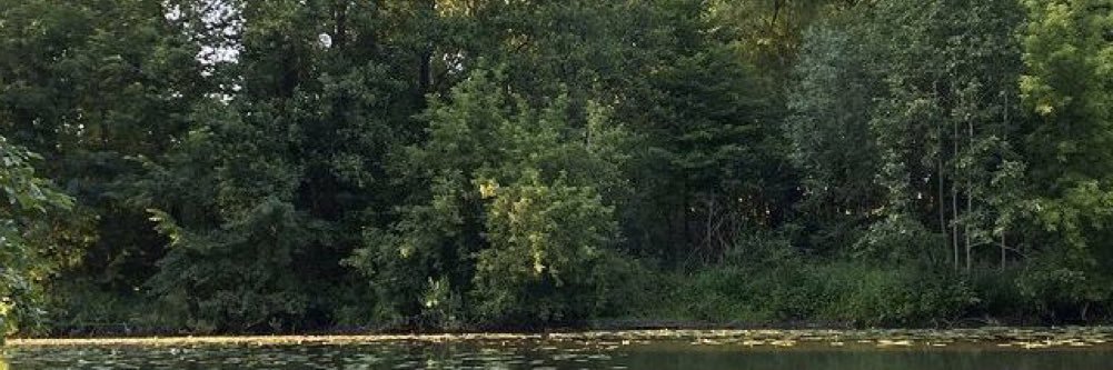 Jmmeellaaa's profile banner image