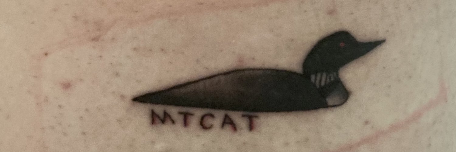 NickTjebben's profile banner image