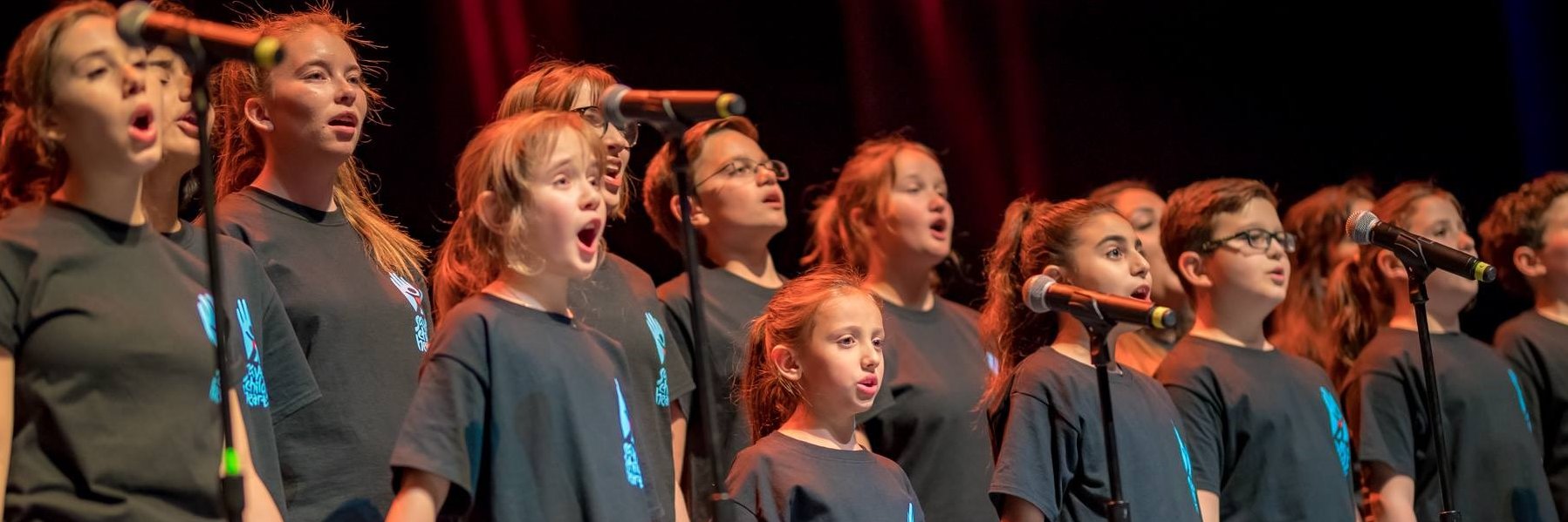 MusycaChoir's profile banner image