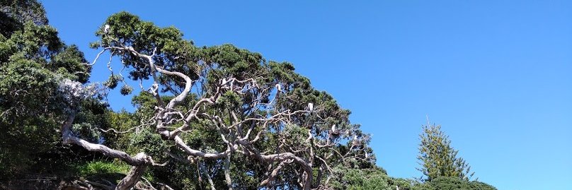 Vicki Marsdon banner