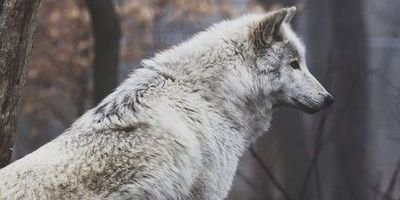 miryahmae39's profile banner image