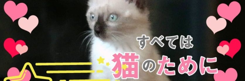 boumoa1128's profile banner image