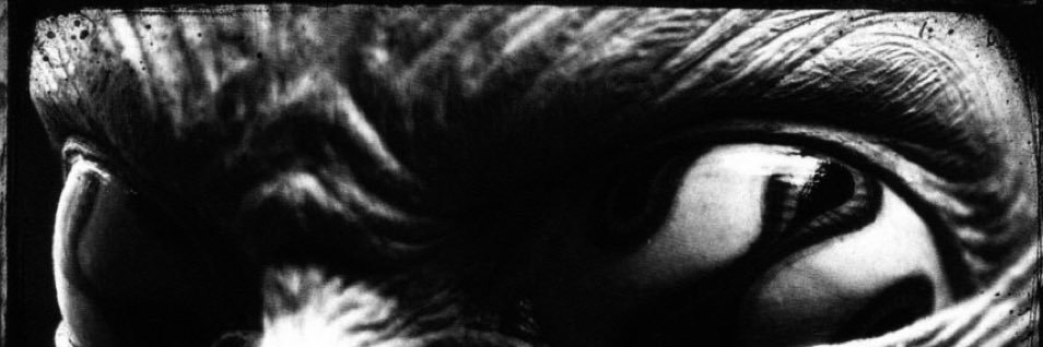 Marian_0aB's profile banner image