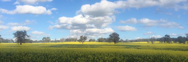 SabinIvey Profile Banner