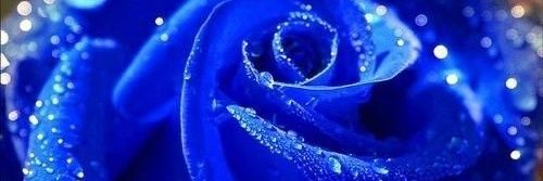 Mz_Casey's profile banner image