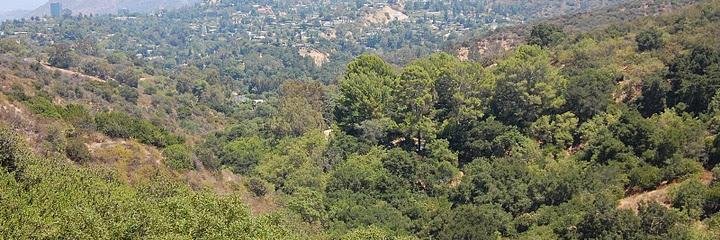 frymancanyon's profile banner image
