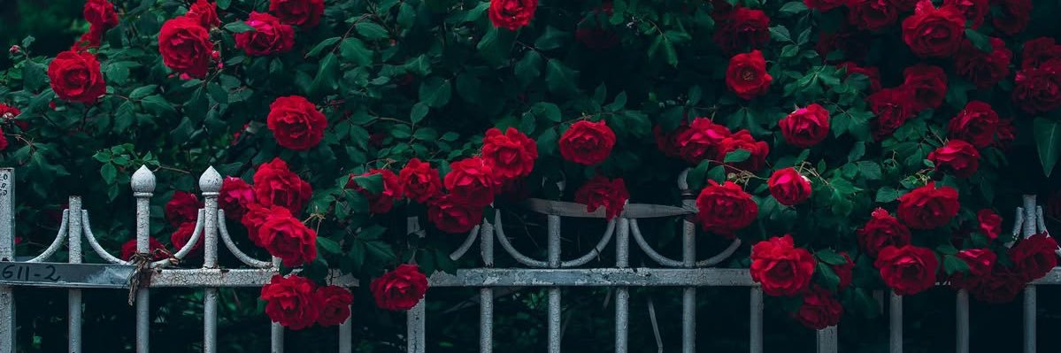 Britfamous's profile banner image