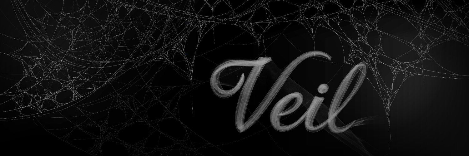 Veil banner