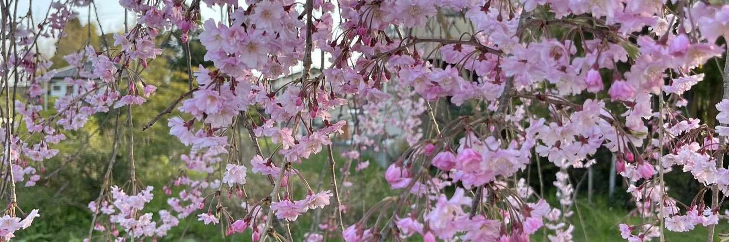 nory8215's profile banner image