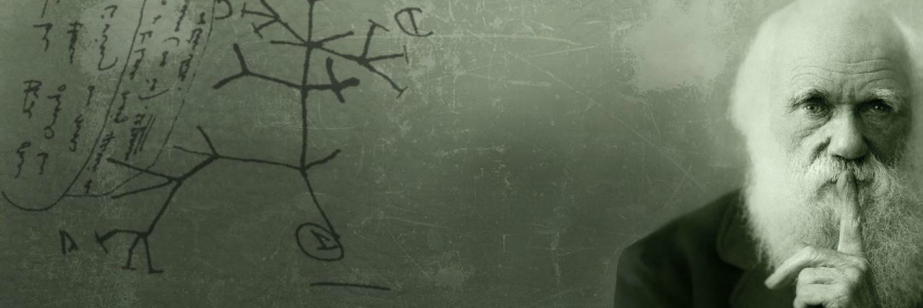 alba_vmvm's profile banner image
