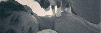 Mateo banner
