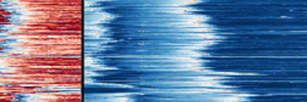 CellSystemsCP Profile Banner