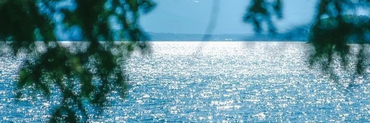 itsjfv888's profile banner image