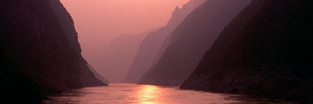 willobouja1981's profile banner image