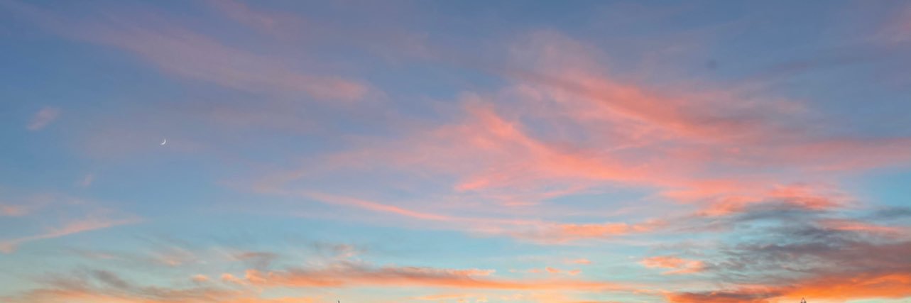 TheChickBri's profile banner image