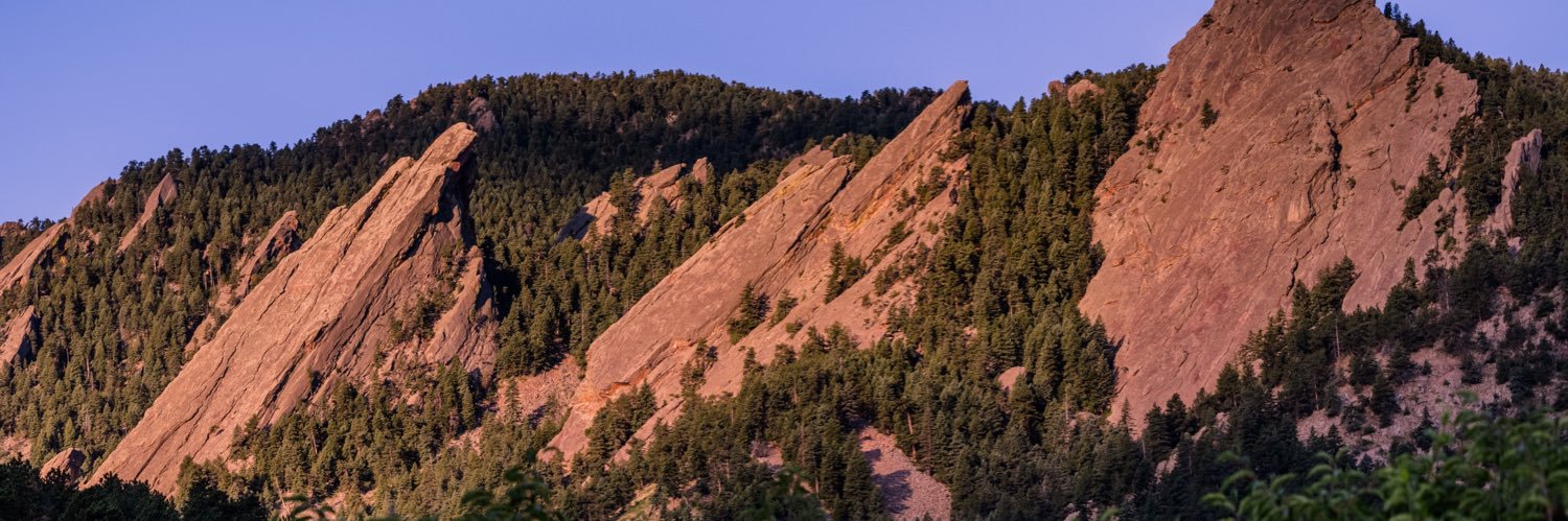 Justin Reidy banner