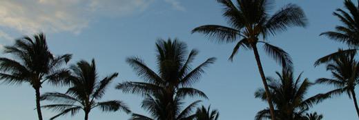 Lexi_Queen #WRS banner